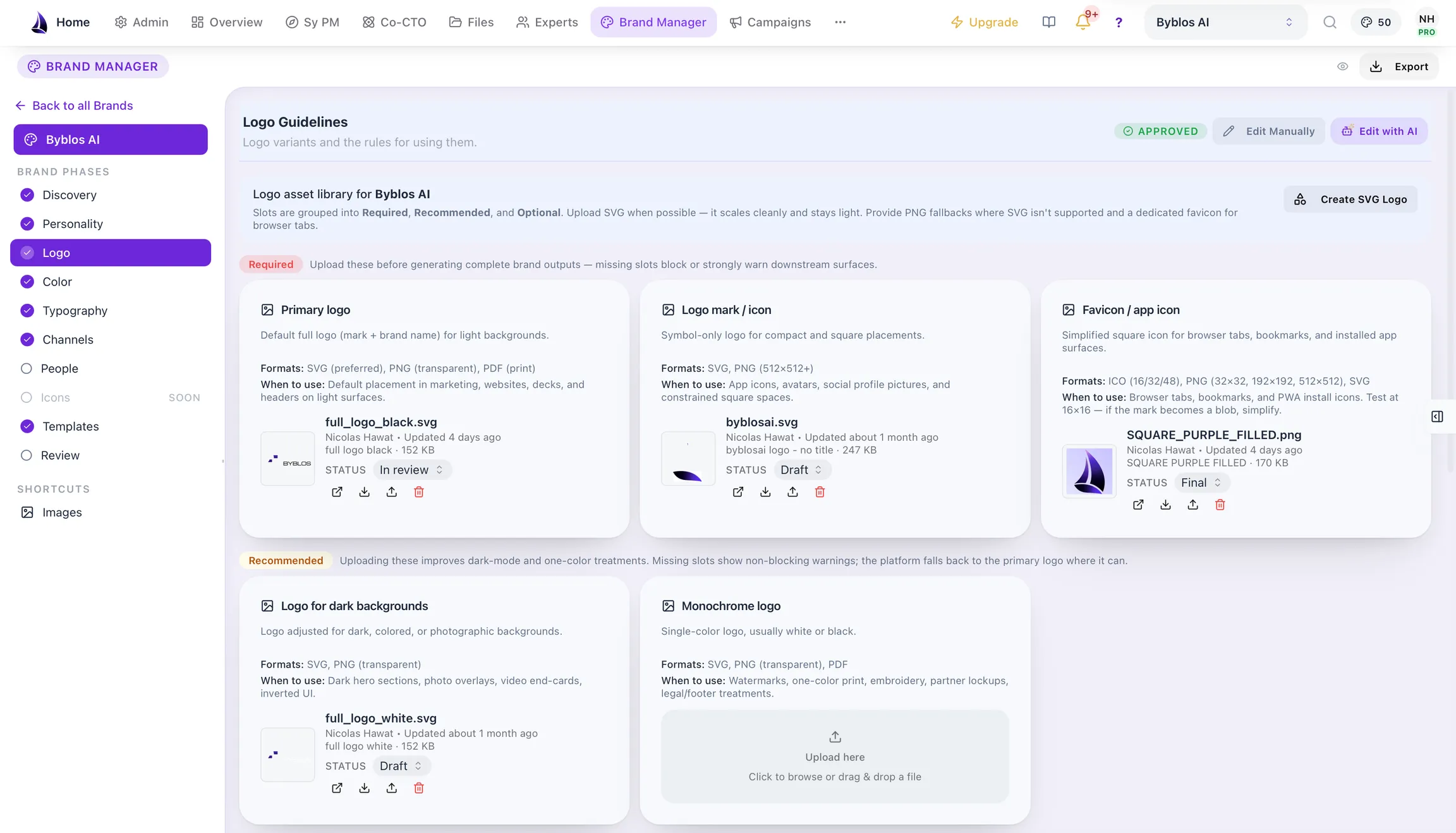 The Brand Manager logo asset library, with required, recommended and optional slots, each naming its formats and when to use it.