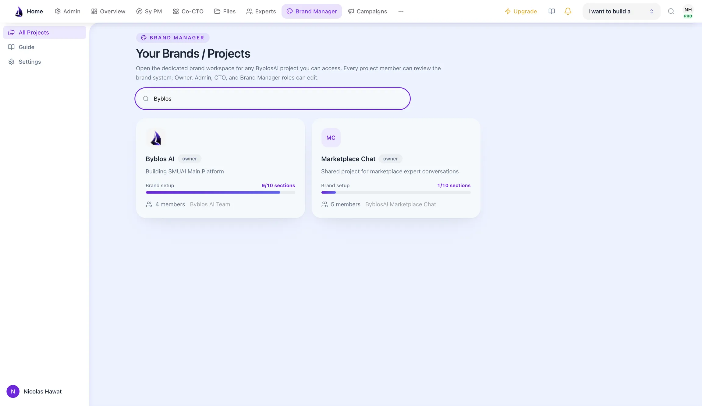 The Brand Manager project list, showing a brand workspace card with its members and status.