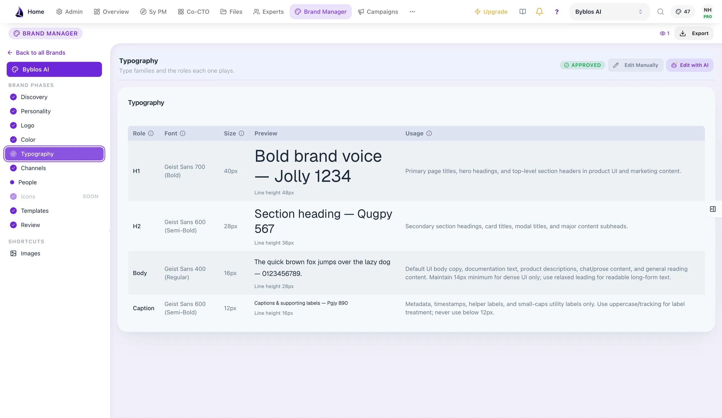 The Brand Manager typography phase, showing the type hierarchy and where each font came from.